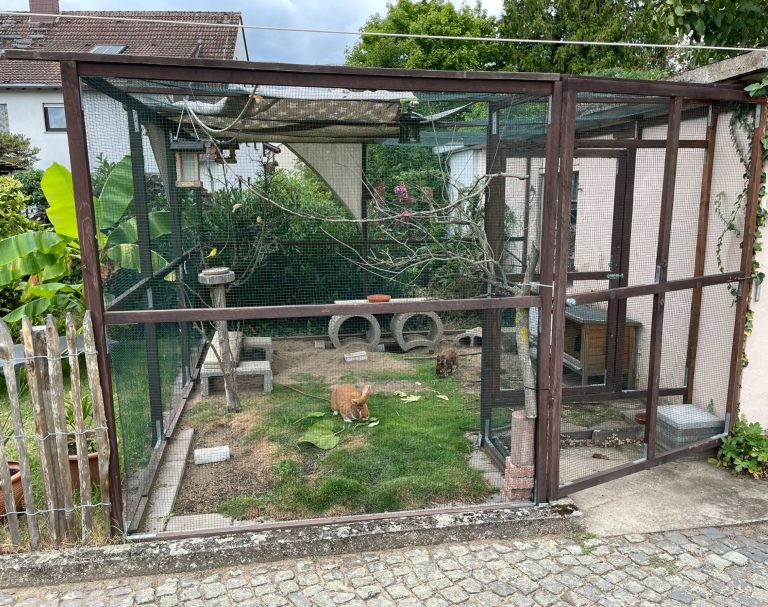 Kindertagespflege Rodenbach - tierisches Team Kaninchenauslauf mit Gras, Netz und einem kleinen Häuschen.