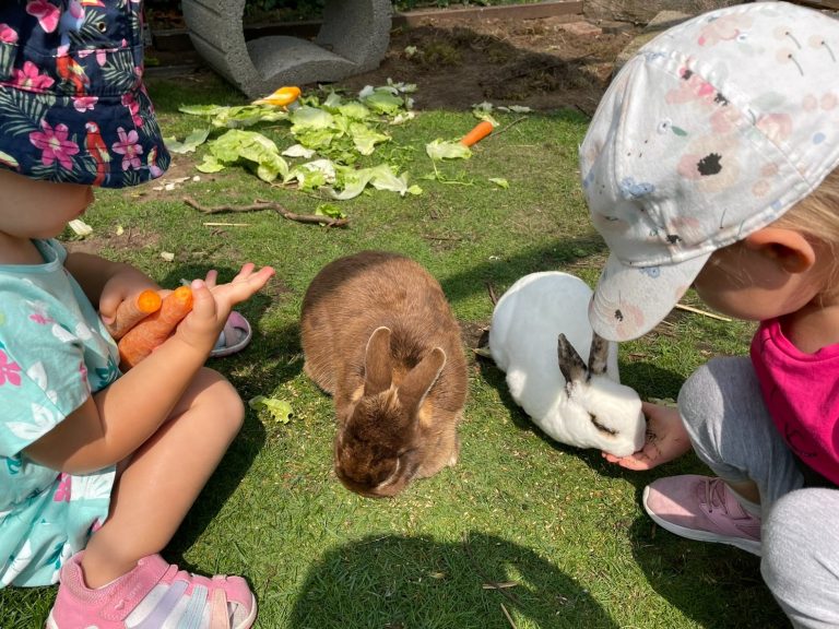 Kindertagespflege Rodenbach - tierisches Team Zwei Kinder füttern Kaninchen mit frischem Gemüse auf dem Boden.
