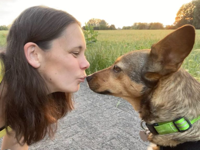 Kindertagespflege Rodenbach - tierisches Team Frau küsst ihren Hund auf einer Wiese bei Sonnenuntergang.
