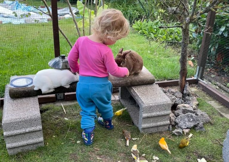Kindertagespflege Rodenbach - tierisches Team Ein Kind streichelt einen Hasen auf einer kleinen Plattform im Garten.